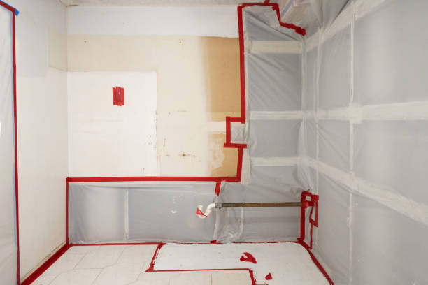 Best Basement Mold Removal  in Parks, AZ